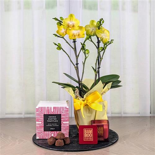 An Orchid Chocs &amp; Candle Gift Set