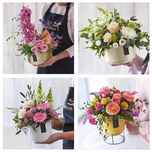 A Florist Choice ARRANGEMENT