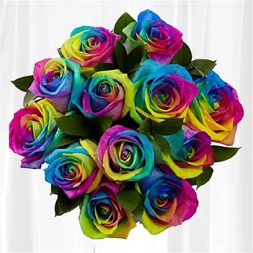 Rainbow Roses
